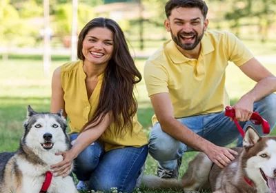 Divorce and the Family Pets: Who Gets the Fur Babies?-image