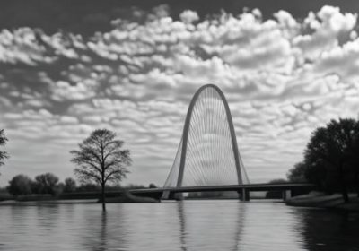 Case Alert: In ther Interest of R.O.M (Dallas, 2024)-image