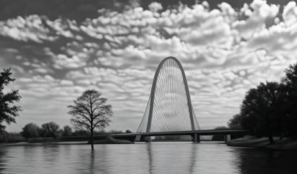 Case Alert: In ther Interest of R.O.M (Dallas, 2024)