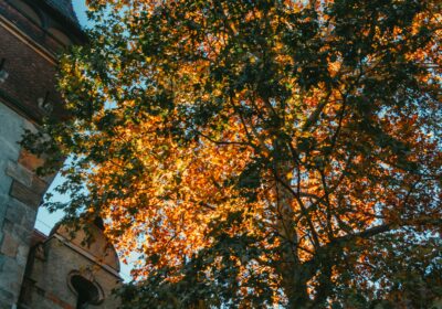 Court of Appeals Greenlights Post-Divorce Asset Division-image