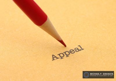 Pro Se Litigation Pitfalls: Why Inadequate Briefing and Failure to Preserve Issues Derail Appeals-image