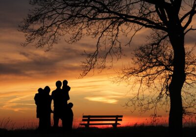 Custody Modification in Texas: Critical Lessons from a Complex El Paso Case on Education Decisions and Parenting Time-image