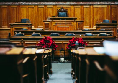 When a Grandparent Steps In: What a Case Teaches Dallas Families About Conservatorship and the Parental Presumption-image