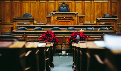 When a Grandparent Steps In: What a Case Teaches Dallas Families About Conservatorship and the Parental Presumption