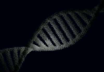 When Courts Compel DNA Testing-image